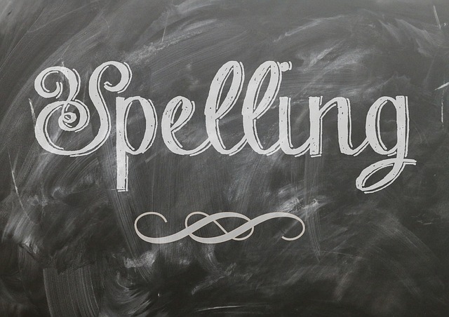 spelling-is-not-a-sign-of-intelligence-find-your-writing-nerd